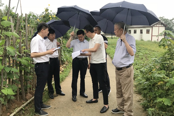 微信图片_20180703141050幼.jpg 微信图片_20180703141050幼.jpg