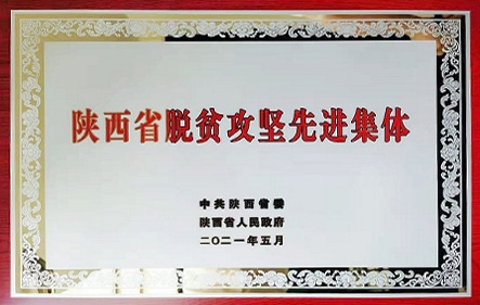 beat·365(中国)唯一官方网站
